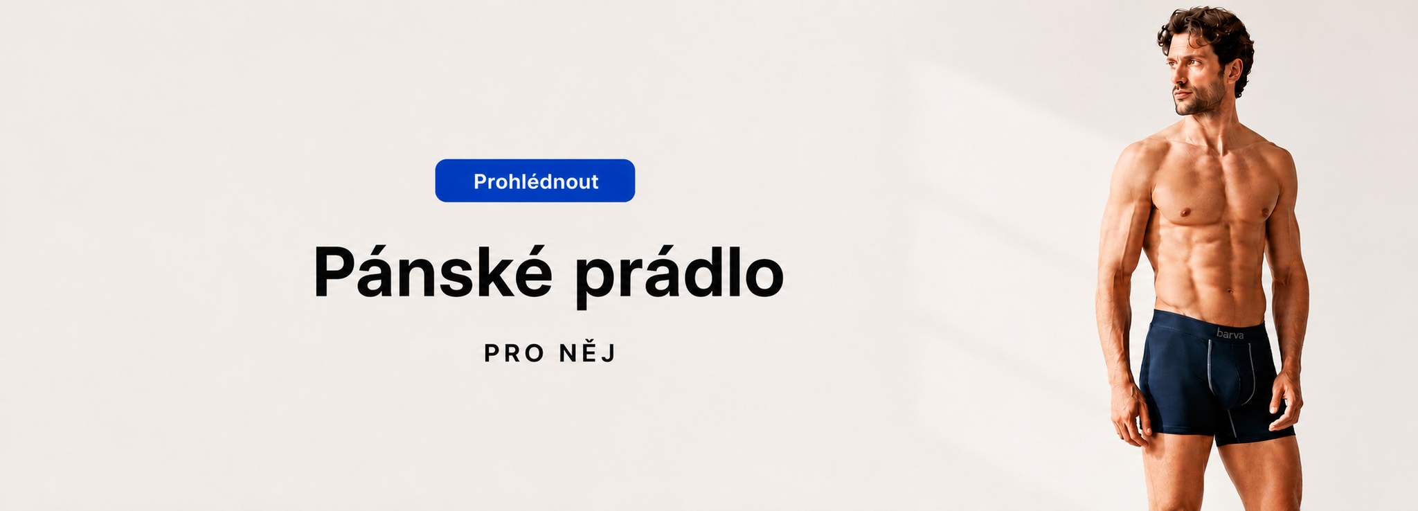 [MO] Pánské prádlo desk