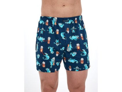 Trenýrky CLASSIC 001/175 LEON