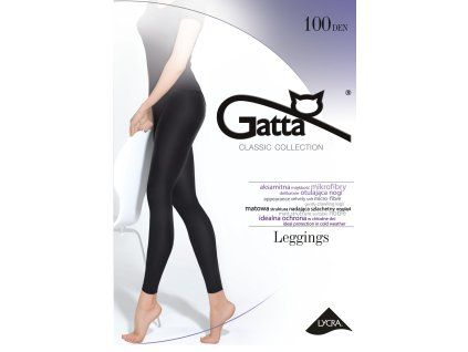 LEGGINSY MICROFIBRA 100 DEN (Velikost 2, Barva černá)