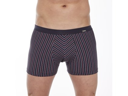 BOXERKY RŮZNÉ MINI 228/135 (Velikost M)