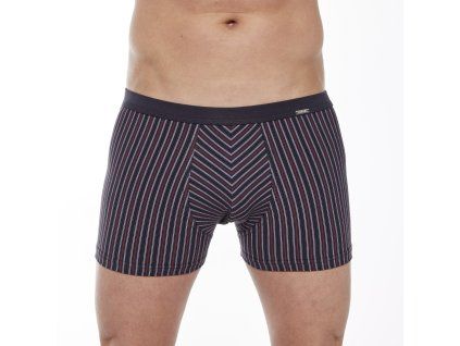 BOXERKY VARIOUS MINI 228/135 (Velikost M, Barva grafitový)