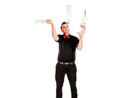 Barmanská show