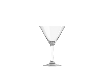 PERFECTION Martini 27 5cl 14094 (1)