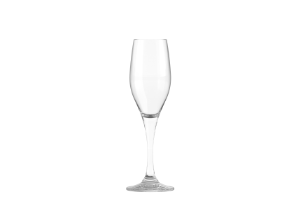 PERFECTION Champagne 20 5cl 17094