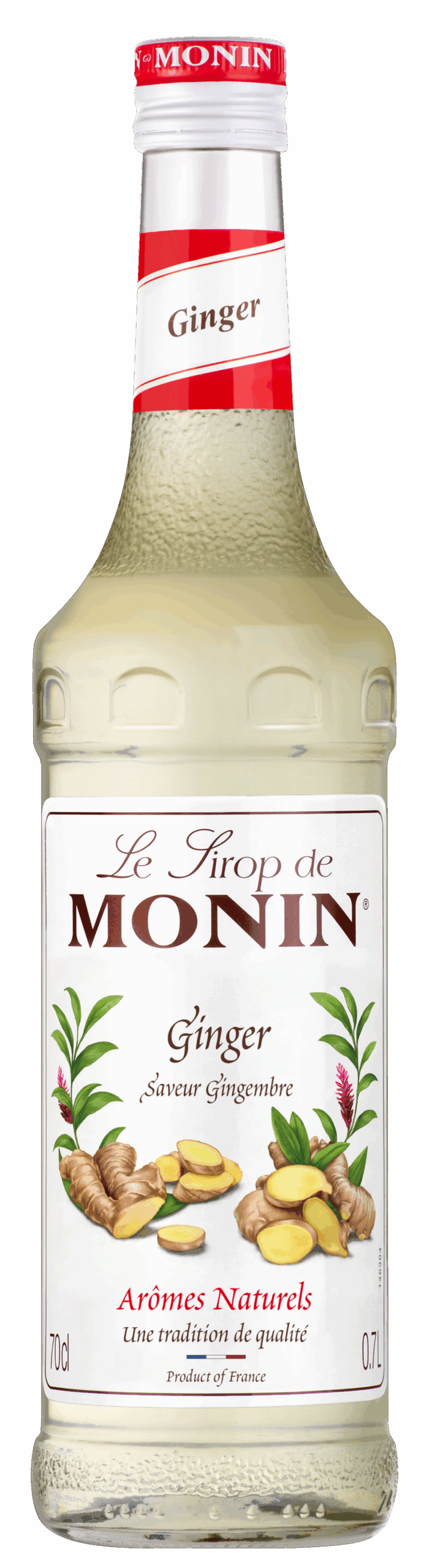 Levně Monin sirup Zázvor 0,7l