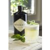 Hendrick's Gin 41,4% 0,7l