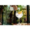 S003102 Copacabana Gin & Tonic (3)