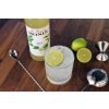 monin lime juice cordial 2