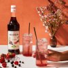 monin grenadine 4