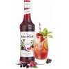 monin grenadine 2