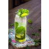 Carribean Mojito with Falernum 1707 2560 1 1024x1536