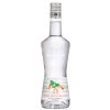 Liqueur Emotion Monin Triple Sec Curacao 25 HD scaled