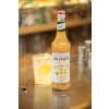 MONIN Concentre Ginger 6703 HD 1707 2560
