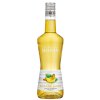 Liqueur Emotion Monin Banane HD scaled