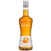 Liqueur Emotion Monin Orange Curacao HD scaled