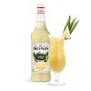 Pina Colada MIXEUR 1L MONIN Zanzibar 2560 2560