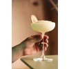 Frozen yuzu Daiquiri 3 1708 2560