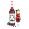 monin boruvkovy blueberry sirup 0 7 l 117246 0