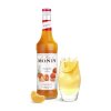 monin mandarinkovy tangerine sirup 0 7 l 59720 0