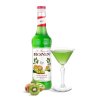 monin kiwi sirup 0 7 l 291681 0