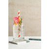 S003246 Can Beverage (2)