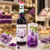 monin koncentrat ube 0 7l 262303 0