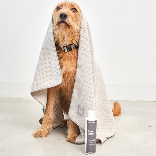 Jak pečovat o psí srst během zimy?