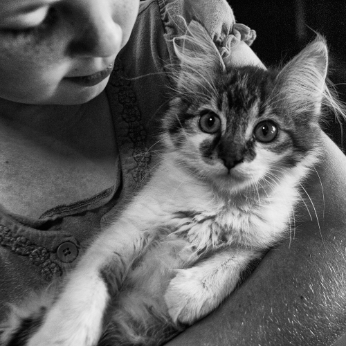 3 rady pro bezpečné soužití domácích mazlíčků a dětí