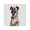 Šátek pro psy Cloud7 Květy