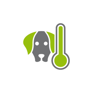 Příčiny nemocí psů