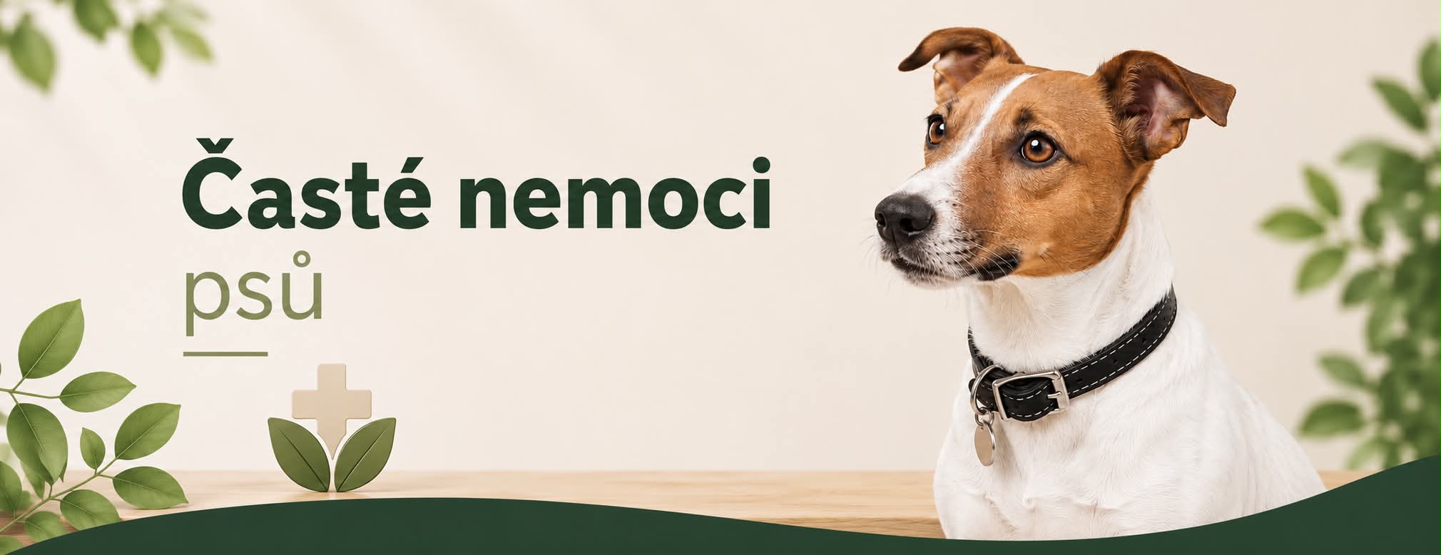 časté nemocí psů bannerový obrázek na rozcestí