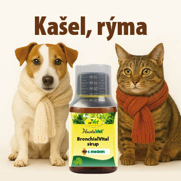 Banner k tématu kašel a rýma u psů a koček – pes a kočka v šálách, bronchiální sirup cdVet BronchialVital s medem jako podpora dýchacích cest.
