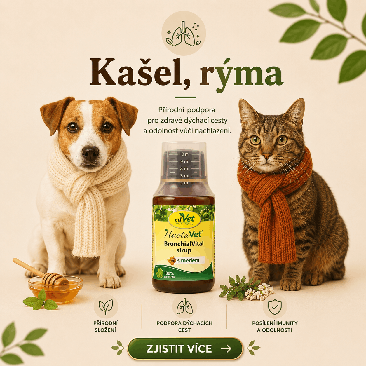 Banner k tématu kašel a rýma u psů a koček – pes a kočka v šálách, bronchiální sirup cdVet BronchialVital s medem jako podpora dýchacích cest.