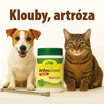 Pes a kočka s kloubními potížemi, vedle nich doplněk stravy cdVet ArthroGreen Plus pro podporu kloubů a při artróze.