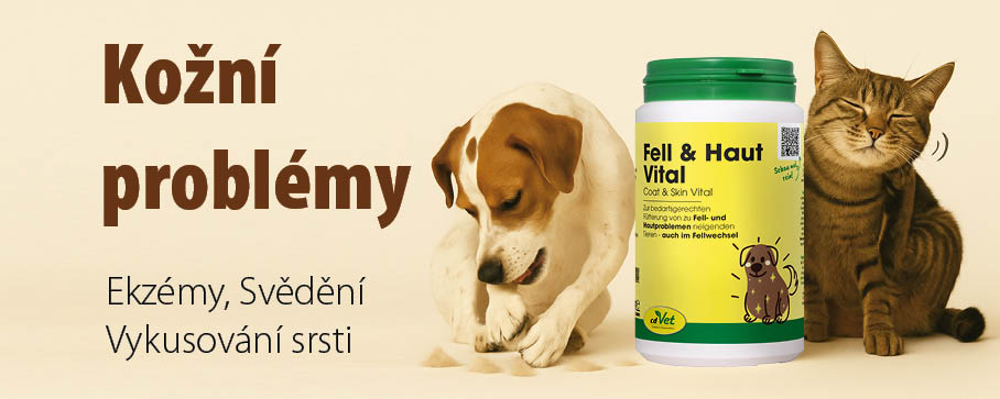 Pes s kožními problémy si kouše packu a kolem něj leží vytrhaná srst, vedle něj sedí kočka a uprostřed je doplněk výživy cdVet Fell & Haut Vital na podporu kůže a srsti.