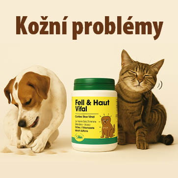 Pes s kožními problémy si kouše packu a kolem něj leží vytrhaná srst, vedle něj sedí kočka a uprostřed je doplněk výživy cdVet Fell & Haut Vital na podporu kůže a srsti.