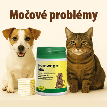 Pes a kočka s doplňkem stravy cdVet Harnwege-Mix pro podporu močových cest, téma močové problémy u psů a koček