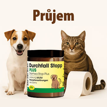 Pes a kočka u doplňku výživy cdVet Průjem Stop Plus pro podporu trávení a zlepšení kondice střev při a po průjmu, s toaletním papírem jako vtipným symbolem střevních potíží.