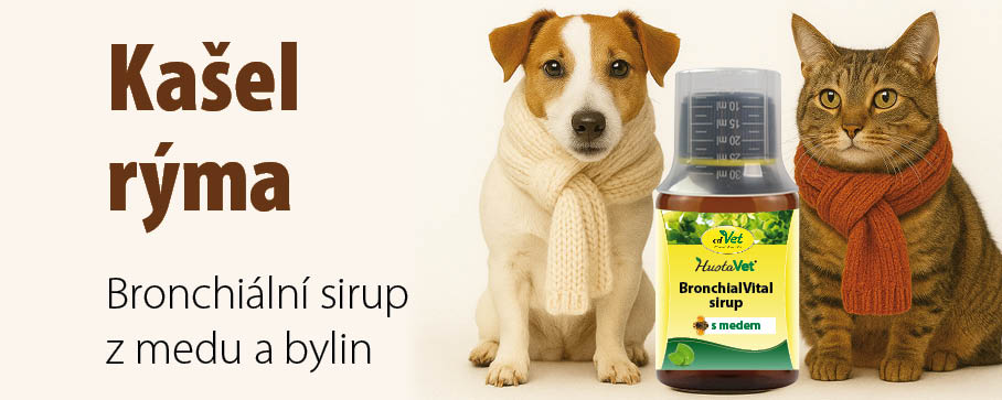 Banner k tématu kašel a rýma u psů a koček – pes a kočka v šálách, bronchiální sirup cdVet BronchialVital s medem jako podpora dýchacích cest.