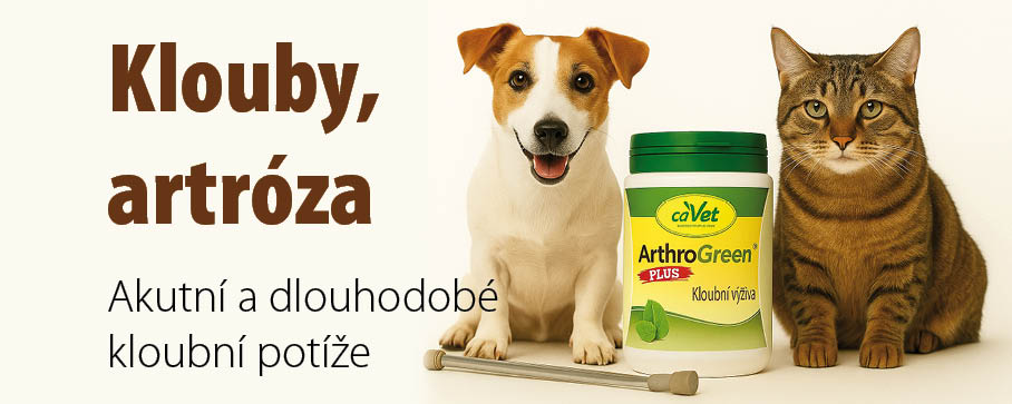 Pes a kočka s kloubními potížemi, vedle nich doplněk stravy cdVet ArthroGreen Plus pro podporu kloubů a při artróze.