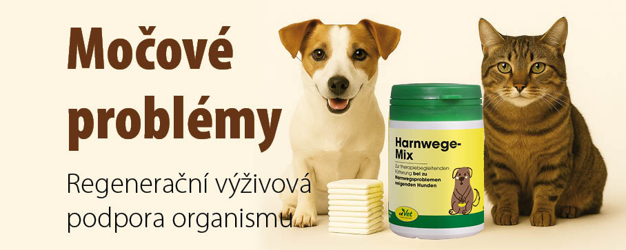Pes a kočka s doplňkem stravy cdVet Harnwege-Mix pro podporu močových cest, téma močové problémy u psů a koček
