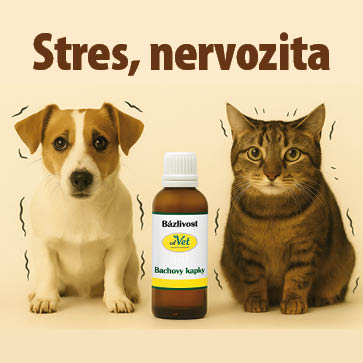 Pes a kočka vystrašení stresem, vedle nich doplněk stravy cdVet NervenNahrung pro podporu klidu a vyrovnanosti u psů a koček.