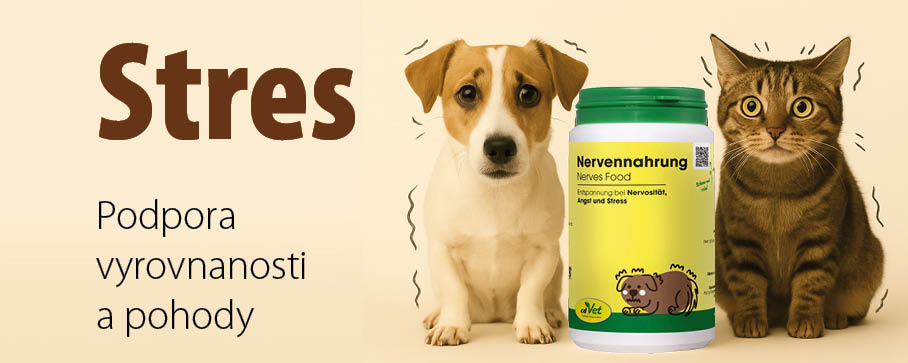 Pes a kočka vystrašení stresem, vedle nich doplněk stravy cdVet NervenNahrung pro podporu klidu a vyrovnanosti u psů a koček.