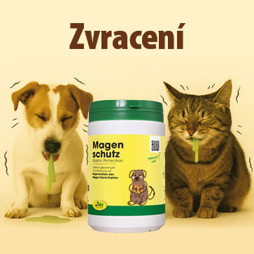 Banner o zvracení u psů a koček – text o ochraně žaludečních a střevních sliznic, pes se sklopenou hlavou u misky, kočka sedící vedle produktu Magen Schutz.