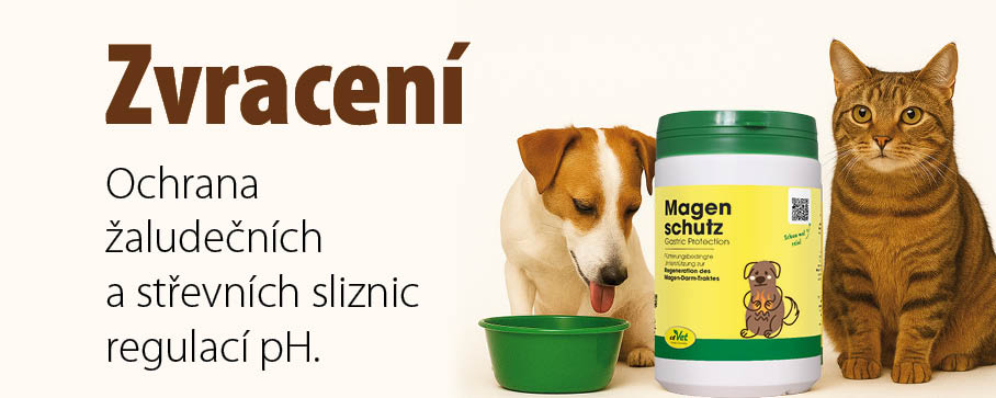 Banner o zvracení u psů a koček – text o ochraně žaludečních a střevních sliznic, pes se sklopenou hlavou u misky, kočka sedící vedle produktu Magen Schutz.