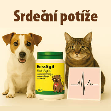 Pes a kočka sedící u doplňku stravy HerzAgil pro podporu srdce a krevního oběhu u psů a koček, doplněné ikonou EKG – srdeční potíže u domácích mazlíčků.