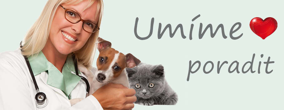 V přírodní lékárně umíme poradit se zdravotními problémy psů a koček.