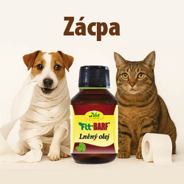 Banner k tématu zácpy u psů a koček – pes omotaný toaletním papírem, kočka sedící u roličky, produkt Fit-BARF lněný olej jako přírodní podpora trávení.