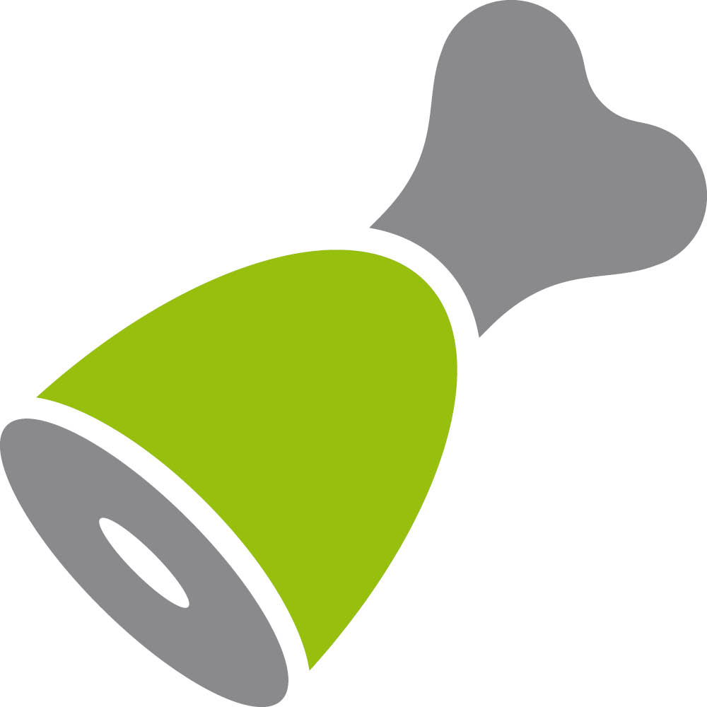 Kosti z parmské šunky pro psy