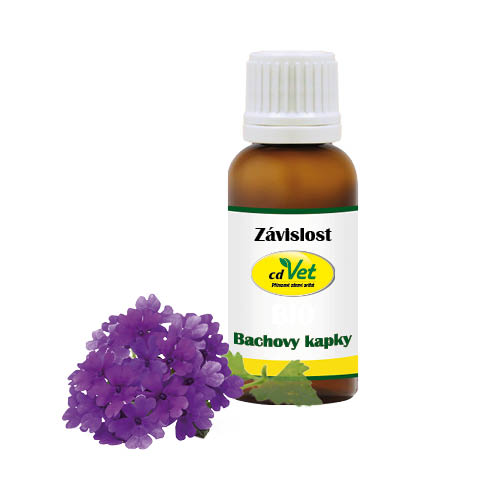 Hnědá lahvička Bachovy kapky Závislost s fialovým květem – přírodní esence psy a kočky.